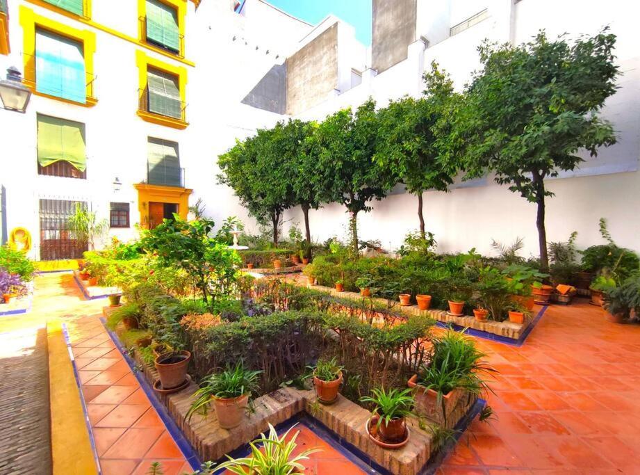 Plaza Cristo De Burgos Apartment เซบีญา ภายนอก รูปภาพ